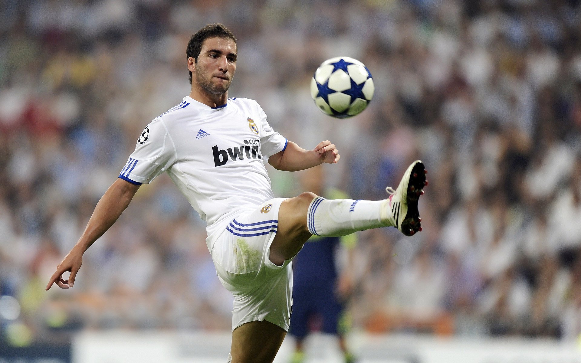 starsky sports直播-荷兰国家队准备迎战欧洲杯预选赛，荷兰队2021欧洲杯预选赛成绩