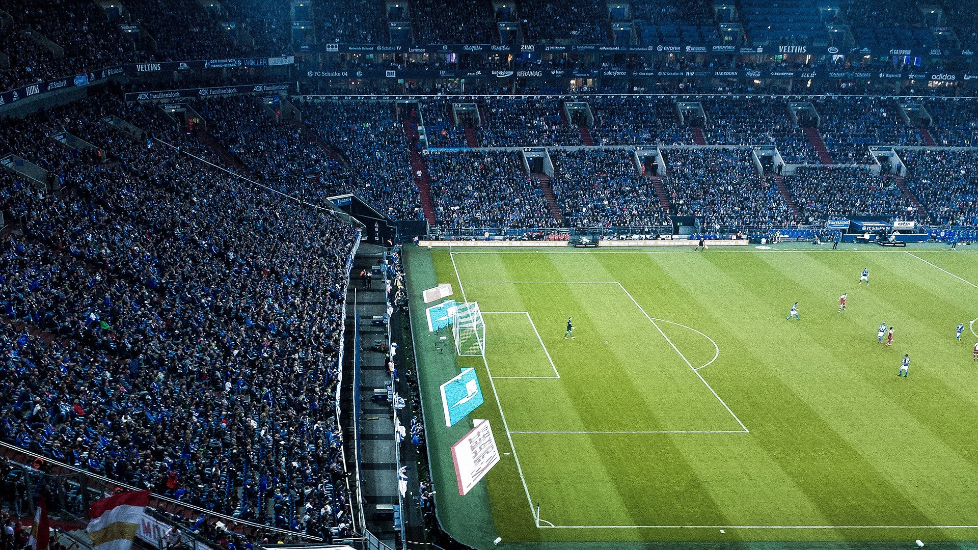 体育志愿者培训手册正式发布,体育赛事志愿者培训包括哪些内容